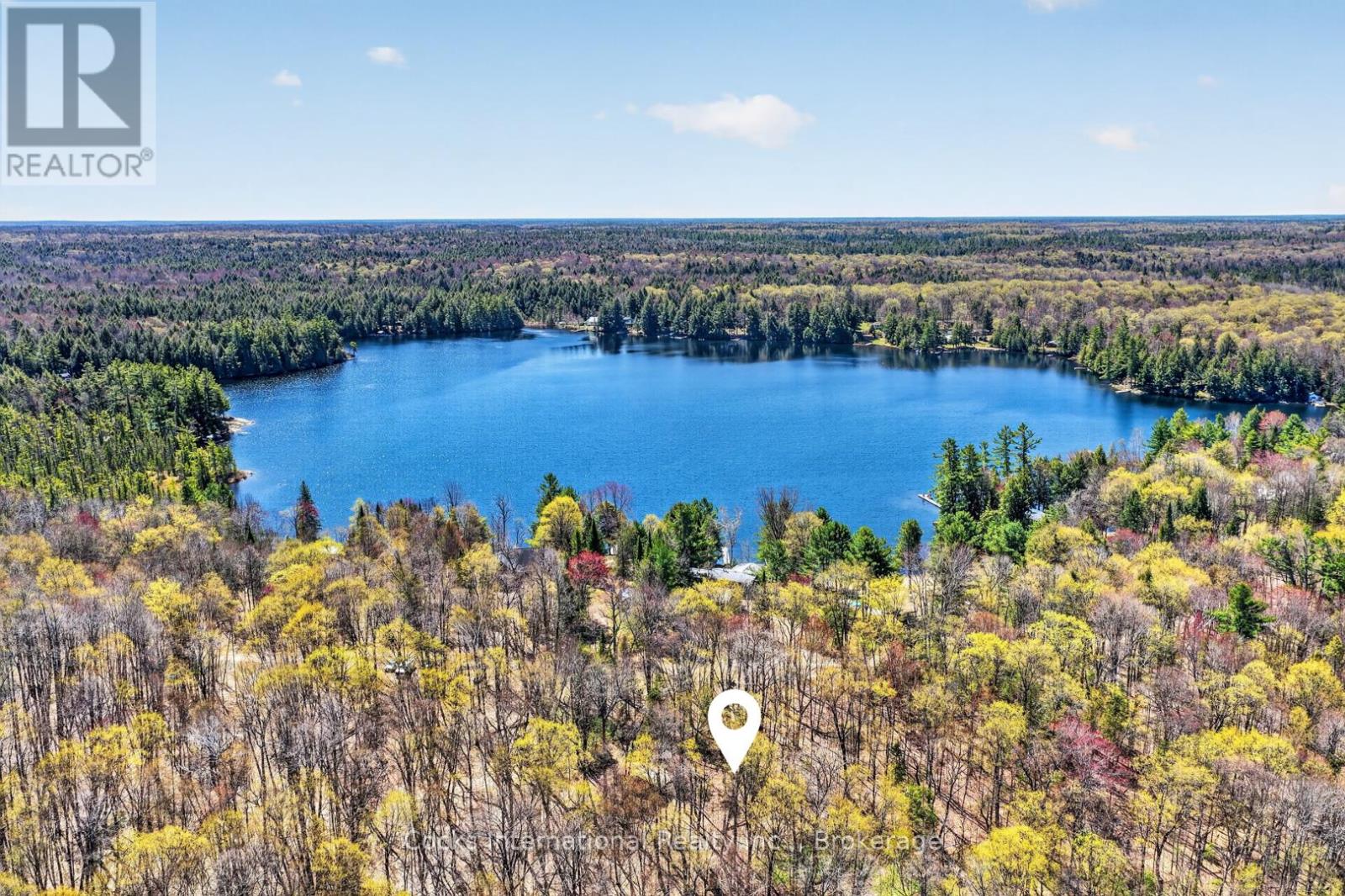 1165 Spring Lake Road, Bracebridge, Ontario  P1L 1X1 - Photo 37 - X13123512