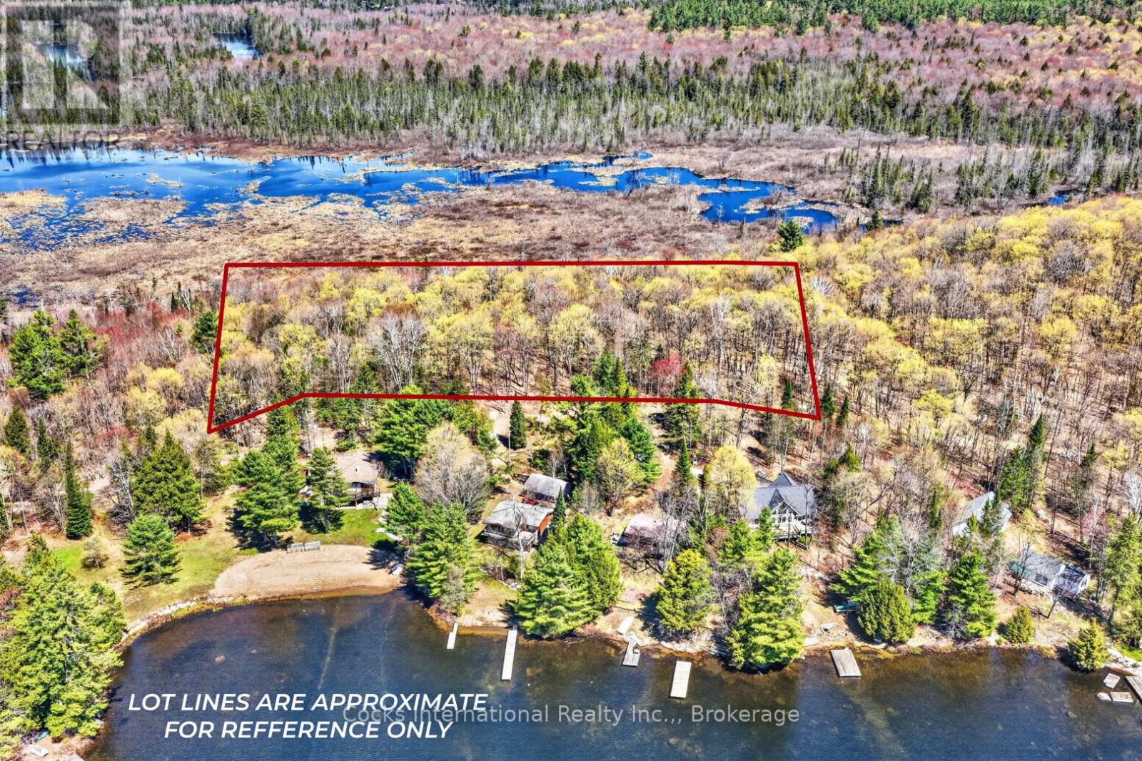 1165 Spring Lake Road, Bracebridge, Ontario  P1L 1X1 - Photo 5 - X13123512