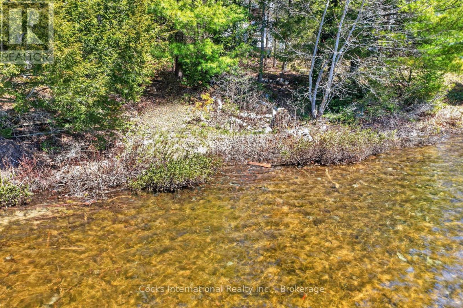 1165 Spring Lake Road, Bracebridge, Ontario  P1L 1X1 - Photo 7 - X13123512