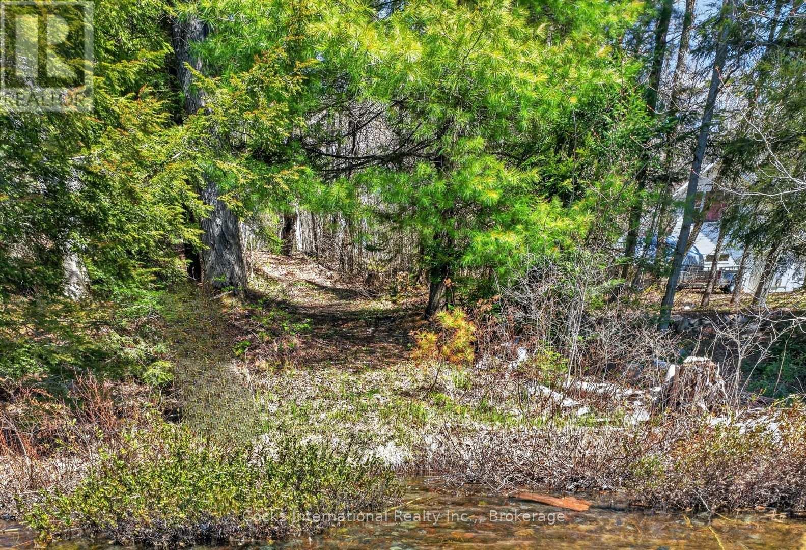 1165 Spring Lake Road, Bracebridge, Ontario  P1L 1X1 - Photo 8 - X13123512