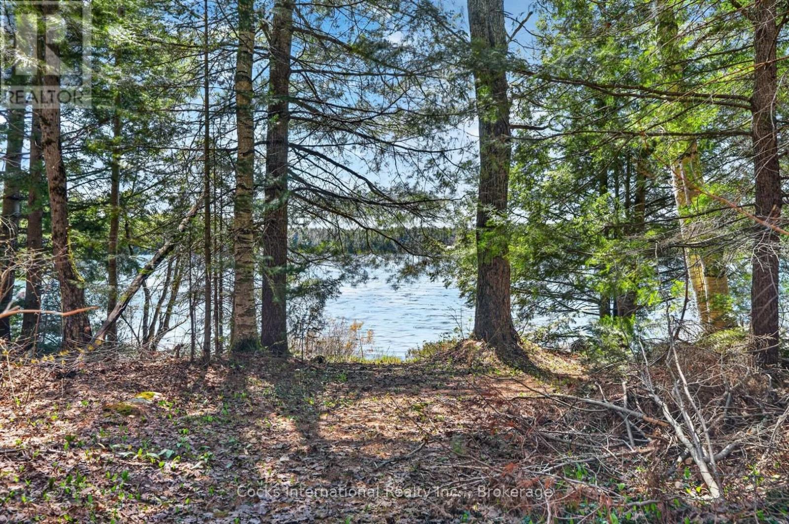 1165 Spring Lake Road, Bracebridge, Ontario  P1L 1X1 - Photo 9 - X13123512