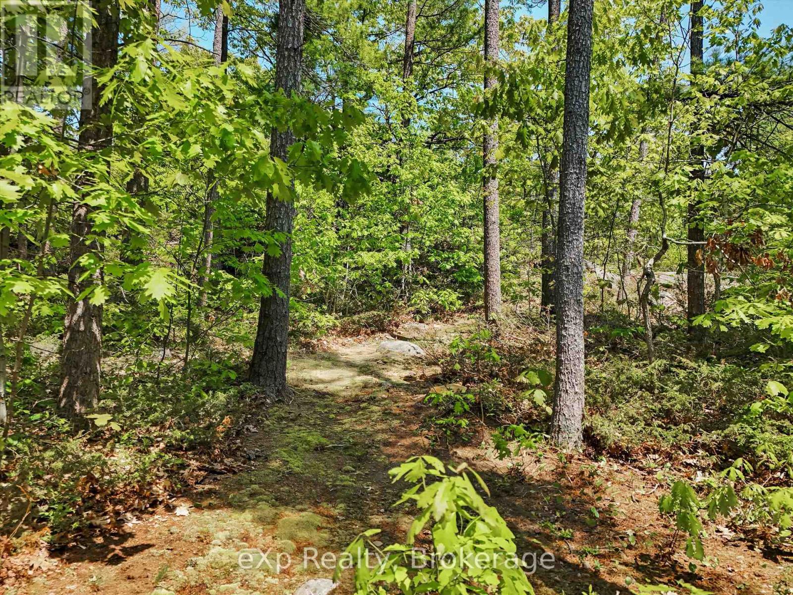 6646 1040littlebeausoleil Island, Georgian Bay, Ontario  P0E 1E0 - Photo 40 - X13123890