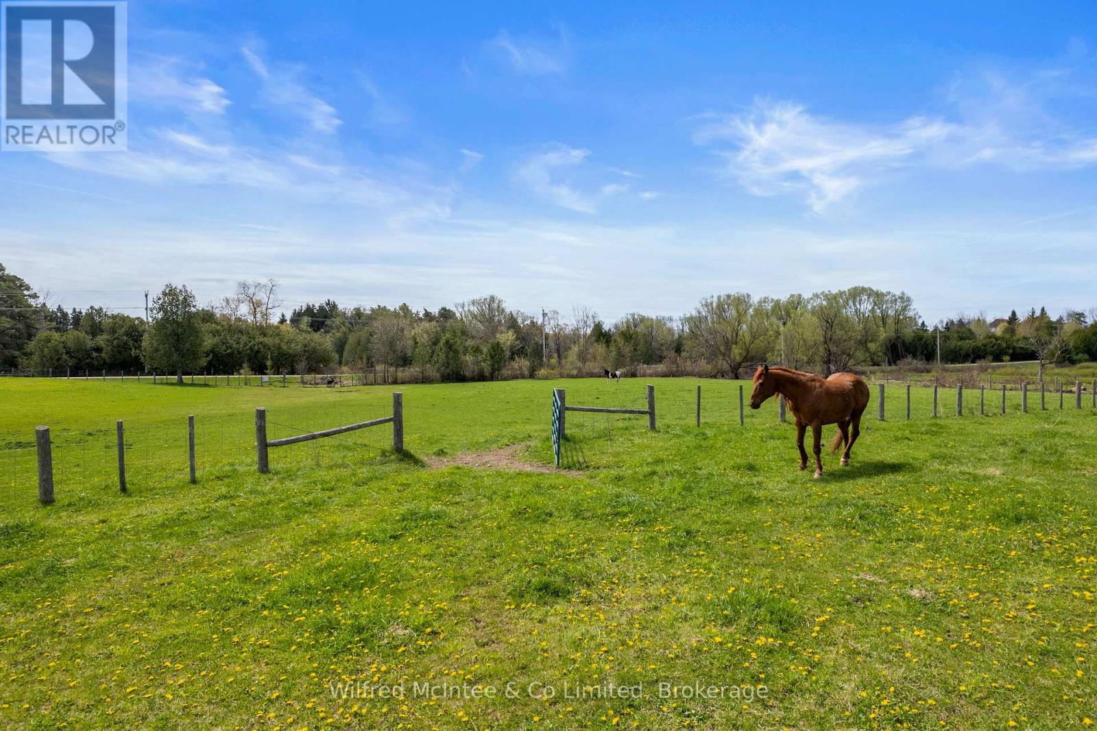 341727 Concession Rd 2 Ndr, West Grey, Ontario  N4N 3B9 - Photo 40 - X13124320