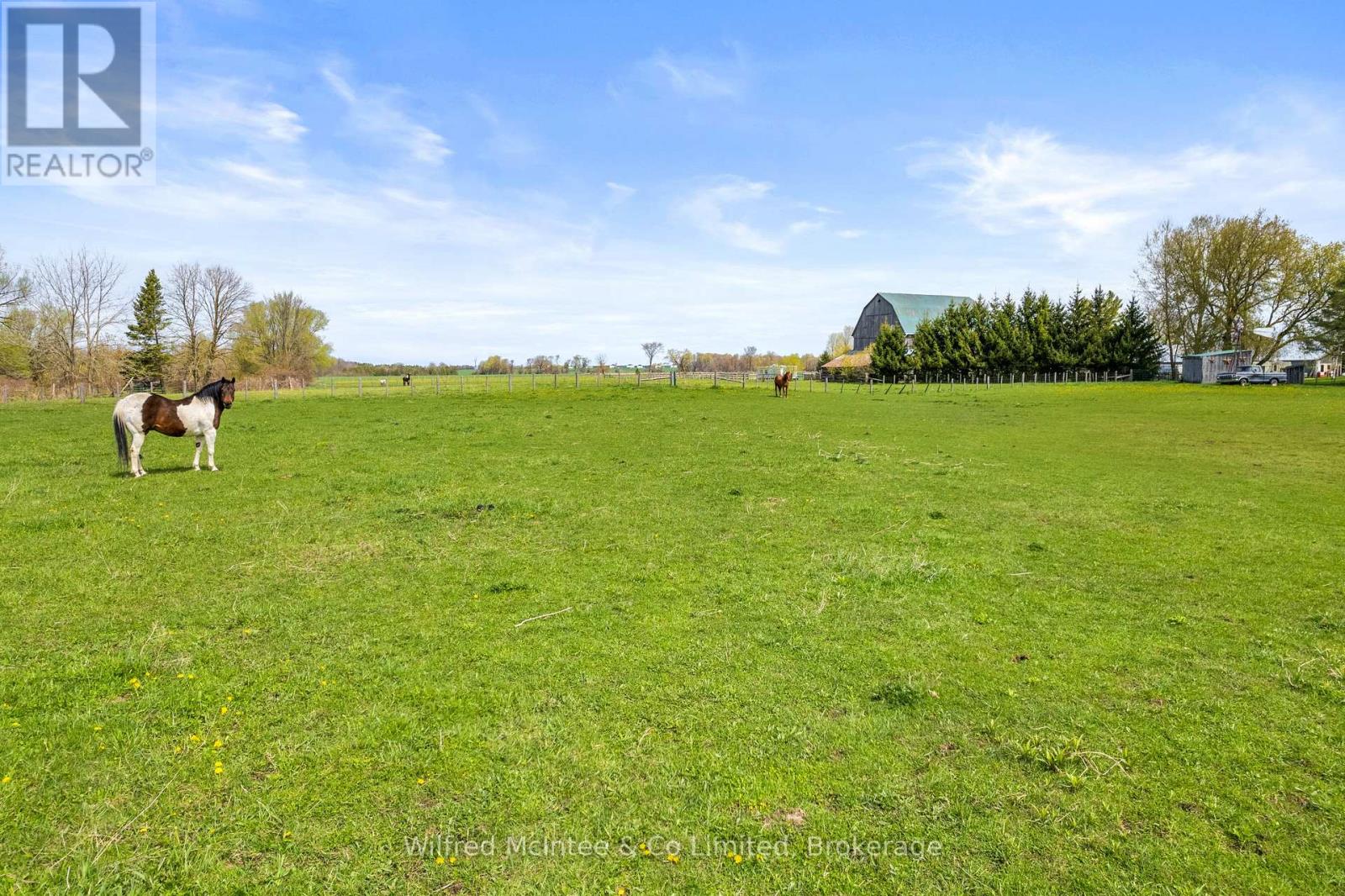 341727 Concession Rd 2 Ndr, West Grey, Ontario  N4N 3B9 - Photo 41 - X13124320