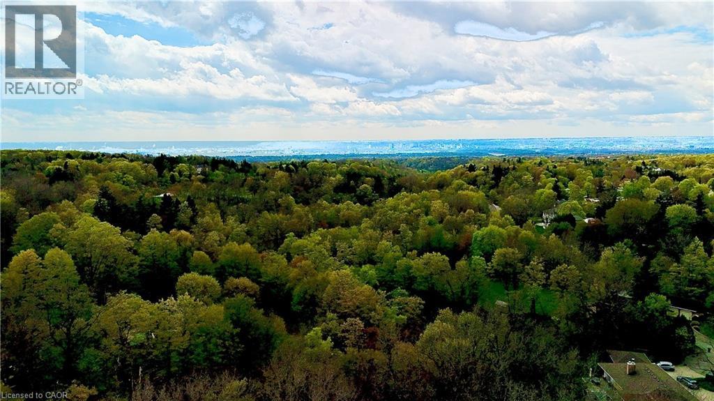 358 Dundas Street E, Hamilton, Ontario  L0R 2H1 - Photo 5 - 40830147