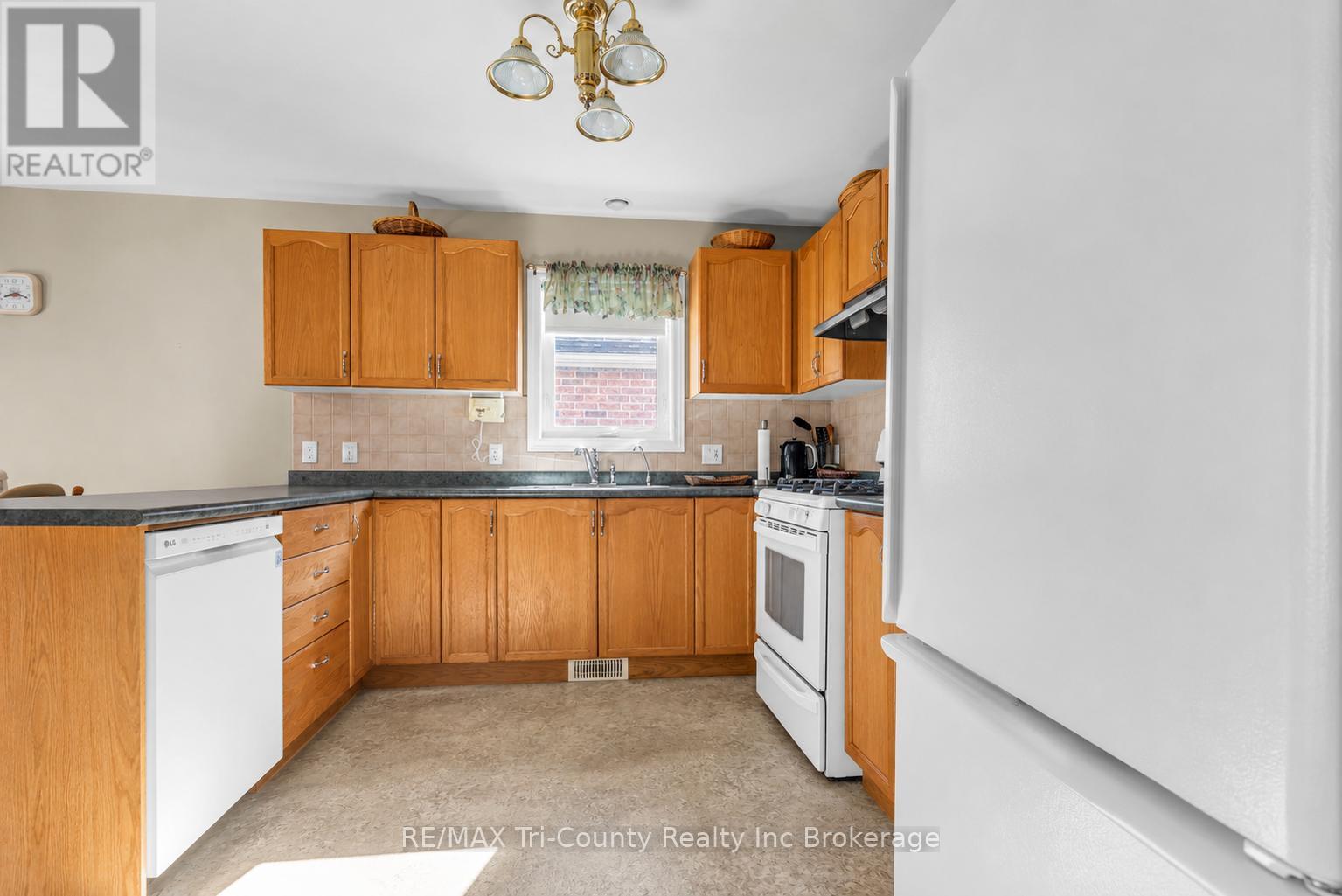 210 Baldwin Street, Tillsonburg, Ontario  N4G 5W3 - Photo 9 - X13127070
