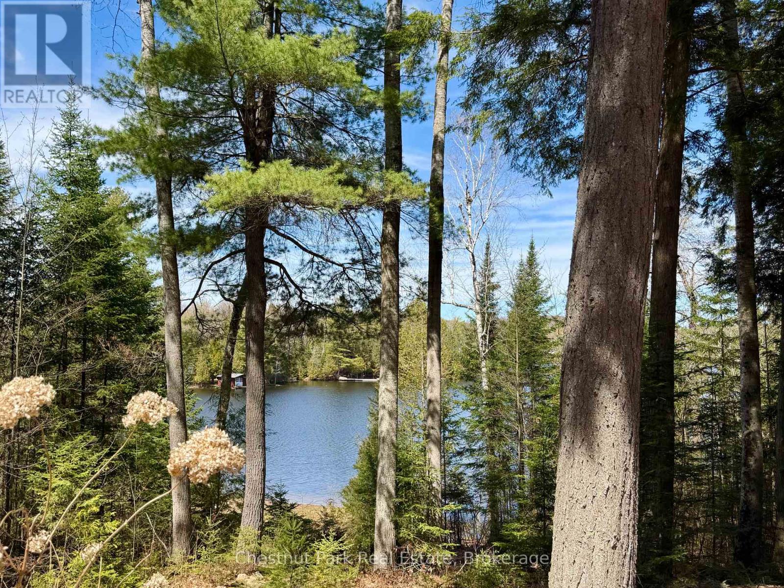 10453 County Road 503 Road, Highlands East, Ontario  K0M 1R0 - Photo 50 - X13126940