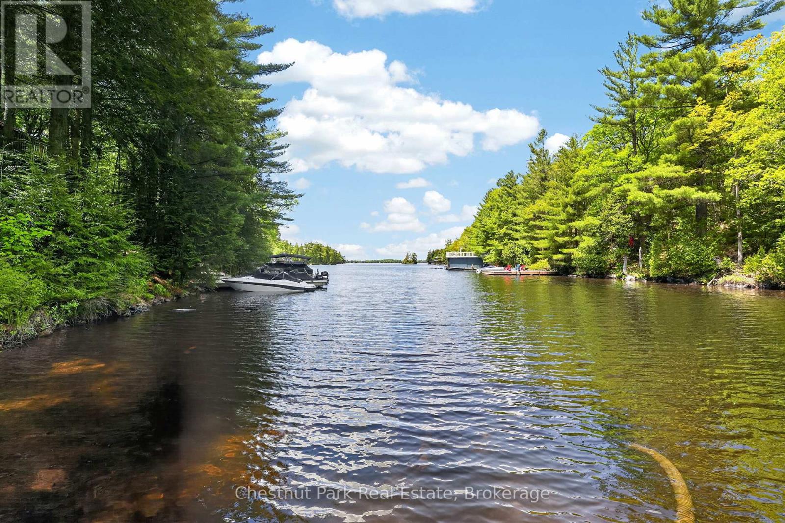 1019 Old Bala Road, Muskoka Lakes, Ontario  P0C 1A0 - Photo 39 - X13127506