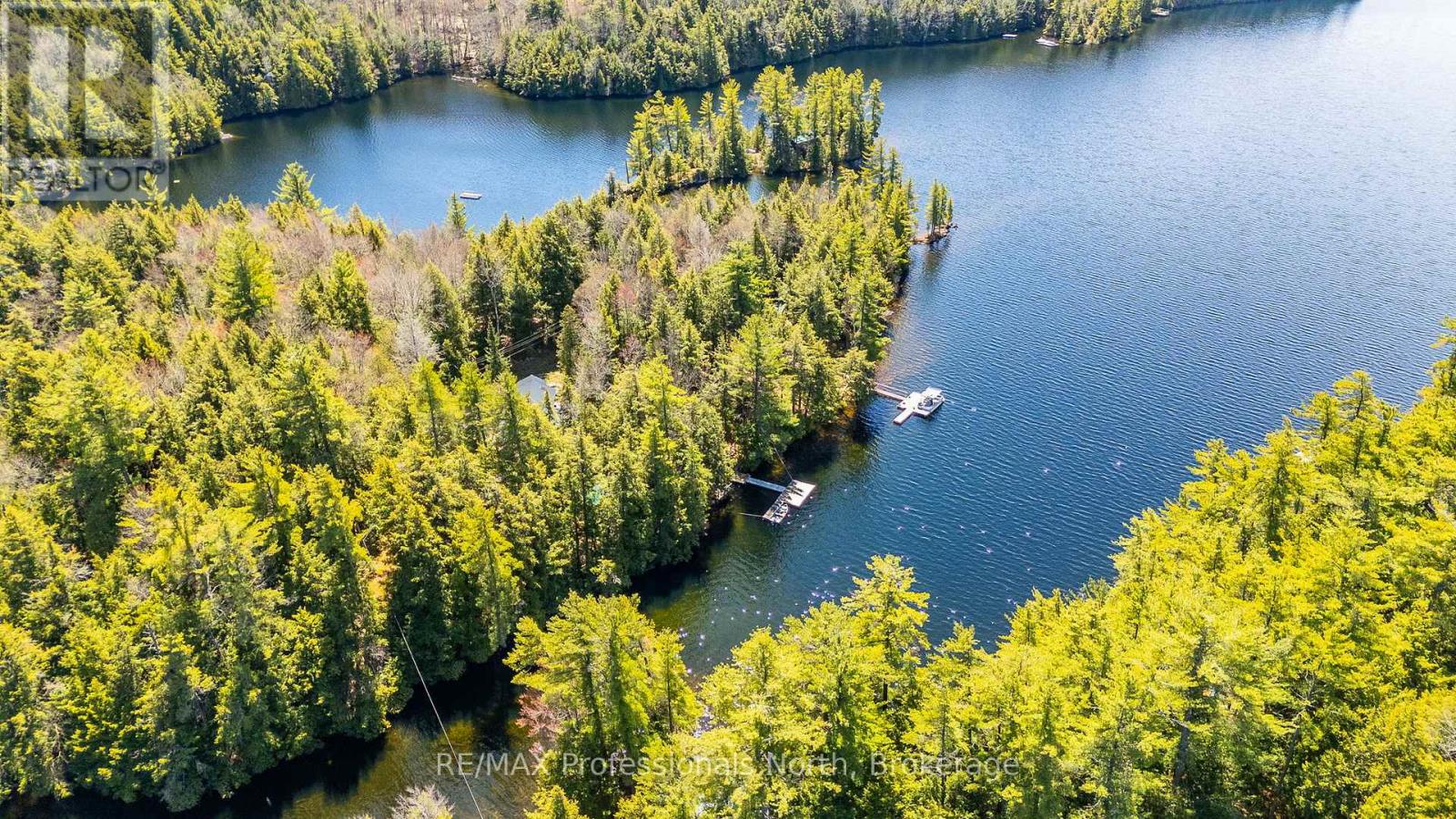 12553 Little Hawk Lake East Shore Wao, Algonquin Highlands, Ontario  K0M 1S0 - Photo 48 - X13127958