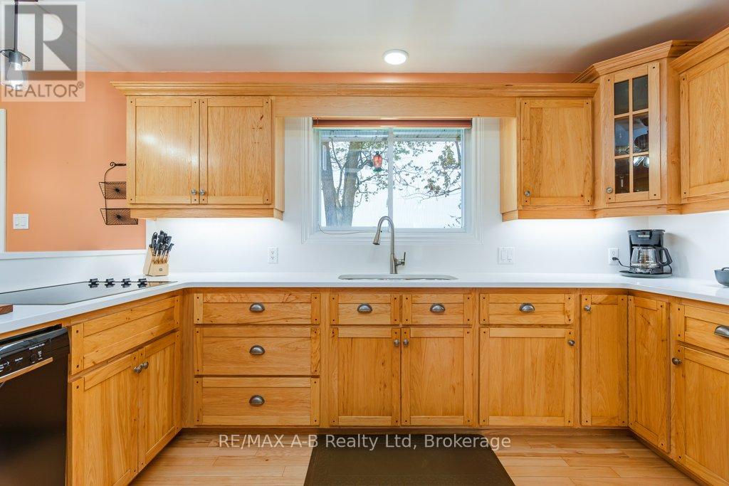 4555 Perth Line 20 Road, Perth South, Ontario  N0K 1V0 - Photo 25 - X13128388