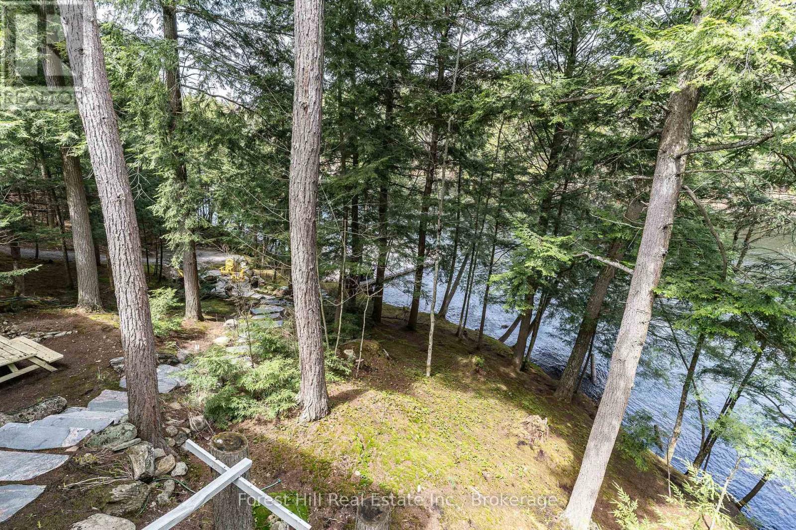 13-1630 Muskoka District Road 38 Road, Muskoka Lakes, Ontario  P0C 1A0 - Photo 47 - X13128486