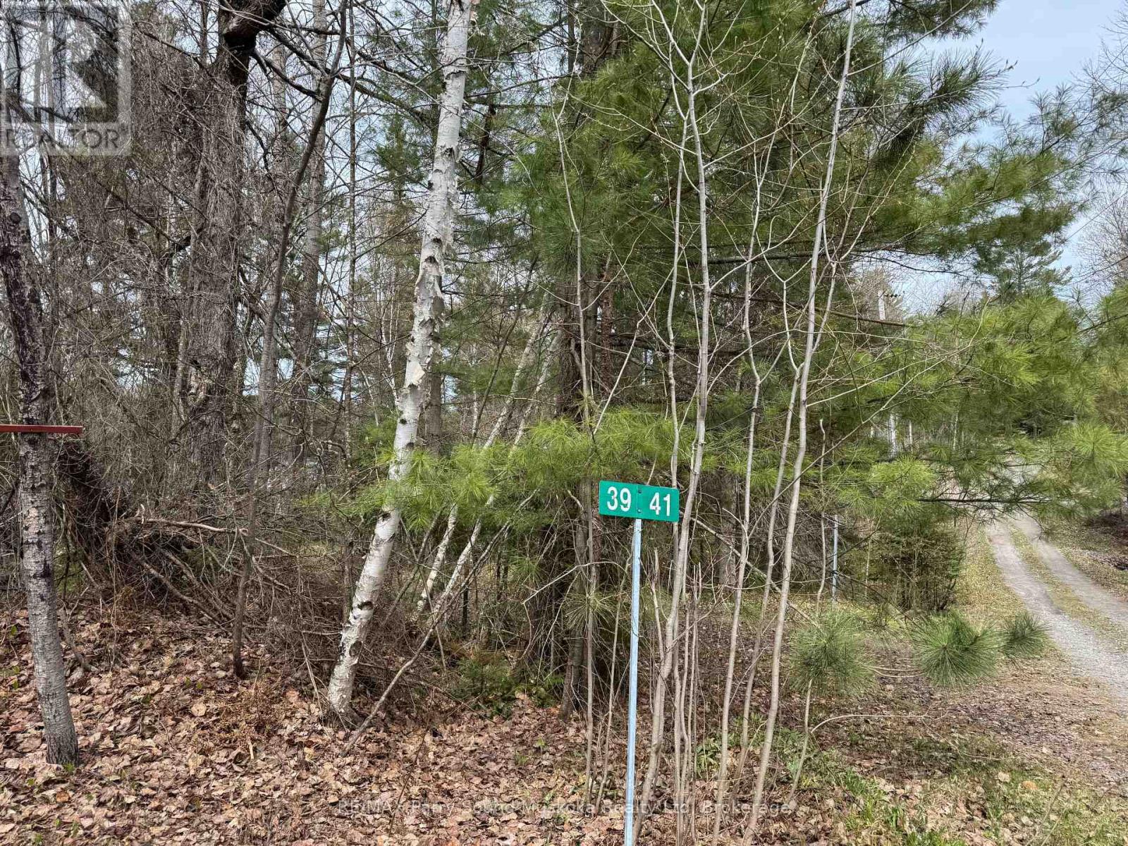 41-35 Weber Road, Parry Sound Remote Area, Ontario  P0H 1S0 - Photo 5 - X13130762
