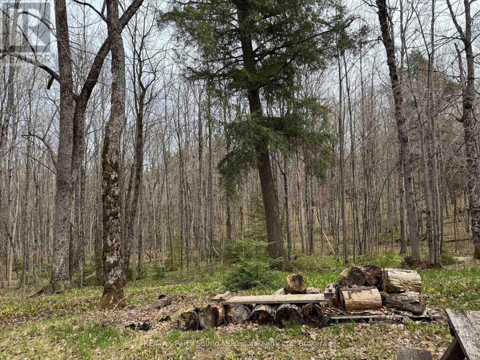 34 Weber Road, Parry Sound Remote Area, Ontario  P0H 1S0 - Photo 2 - X13131600