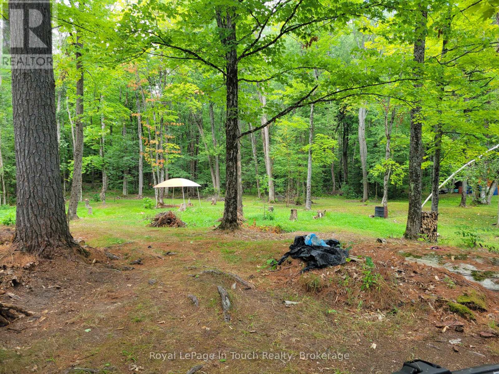 20 Sr404 Severn River, Muskoka Lakes, Ontario  L0K 1E0 - Photo 7 - X13132844