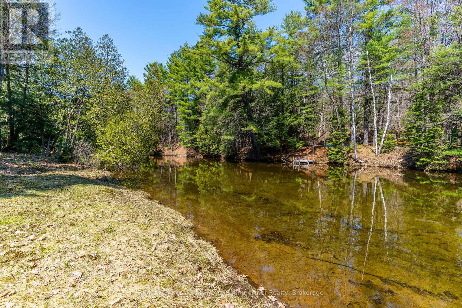1065 Cloverleaf Road, Algonquin Highlands, Ontario  K0M 1J2 - Photo 4 - X13135162