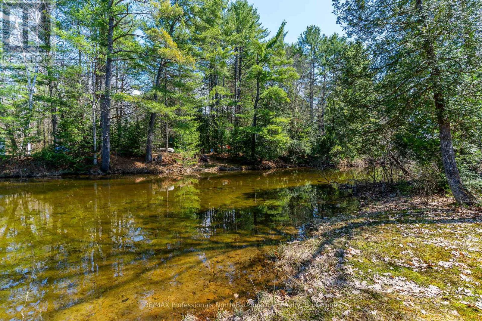 1065 Cloverleaf Road, Algonquin Highlands, Ontario  K0M 1J2 - Photo 47 - X13135162