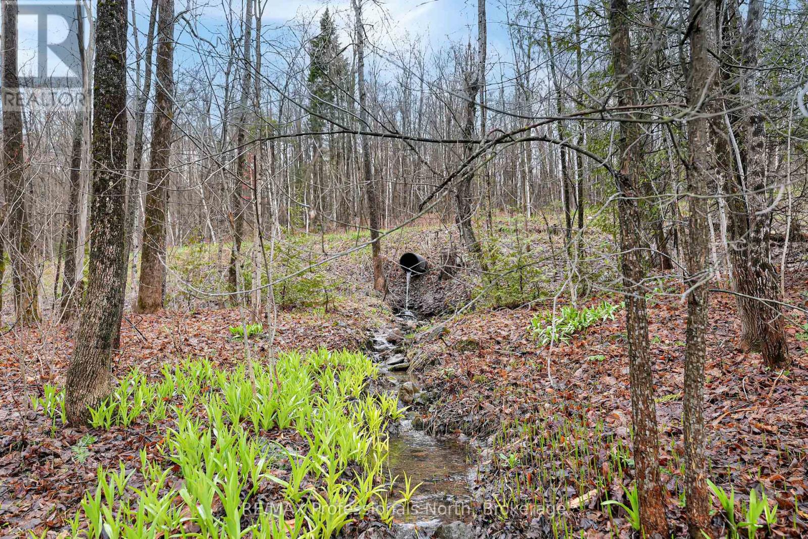 1765 Essonville Line, Highlands East, Ontario  K0L 2Y0 - Photo 38 - X13135466