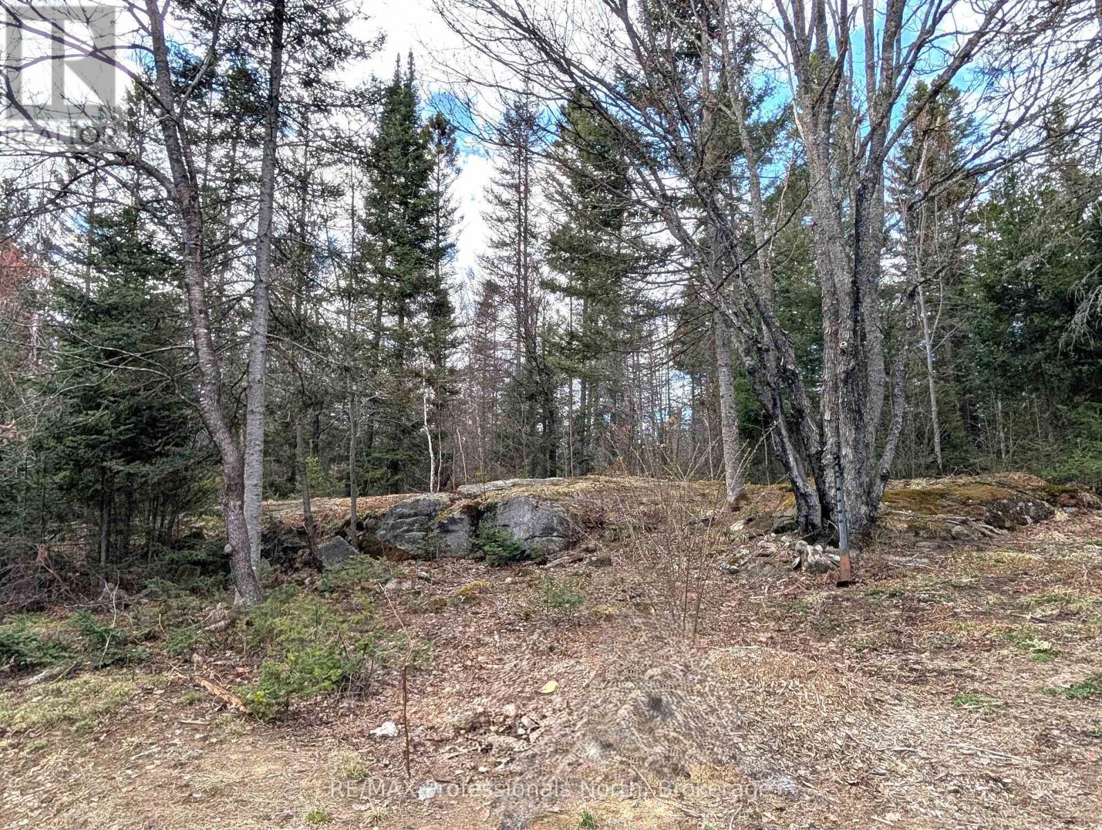 3785a Eagle Lake Road, Parry Sound Remote Area, Ontario  P0A 1X0 - Photo 31 - X13136686