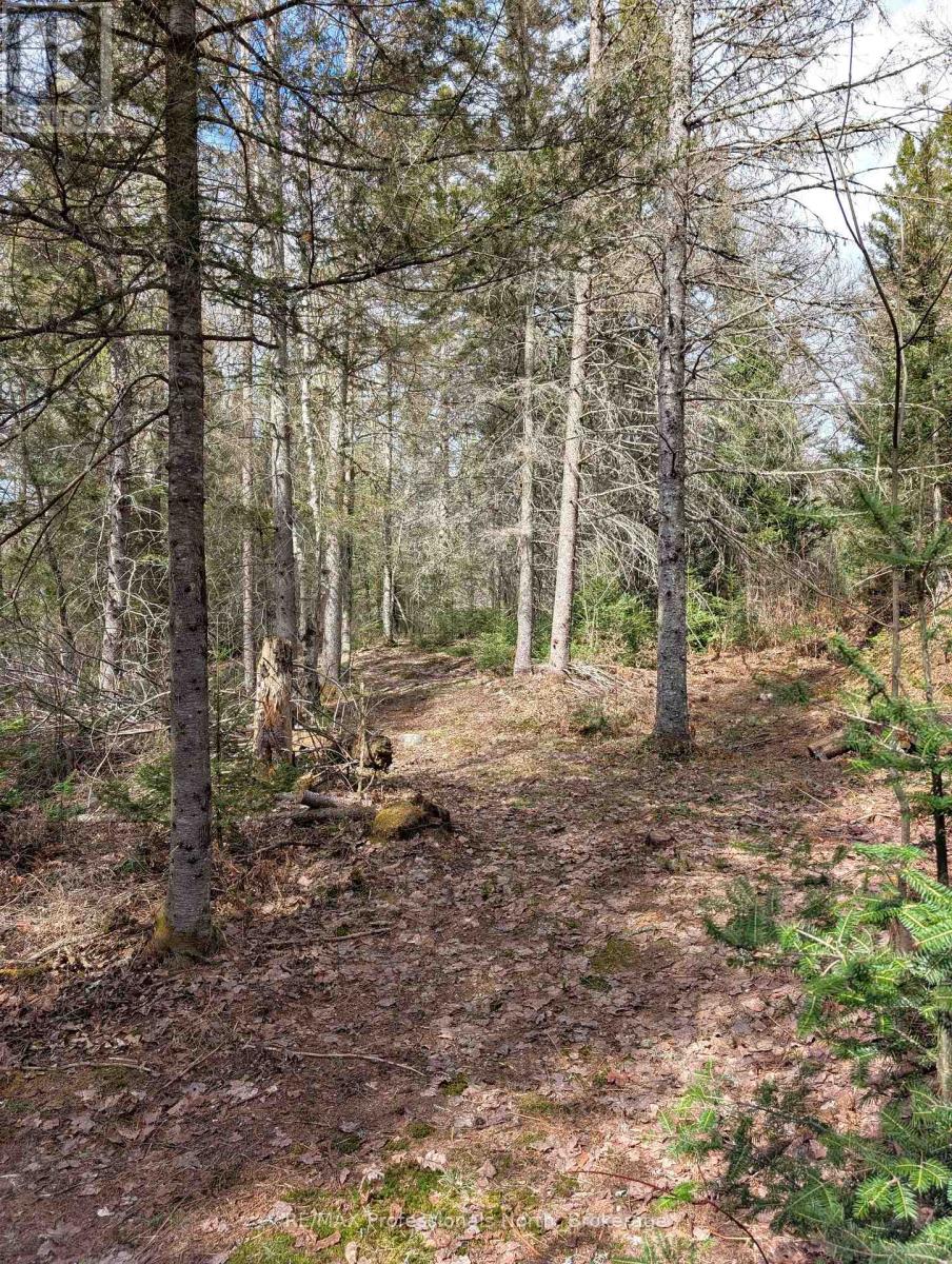 3785a Eagle Lake Road, Parry Sound Remote Area, Ontario  P0A 1X0 - Photo 32 - X13136686