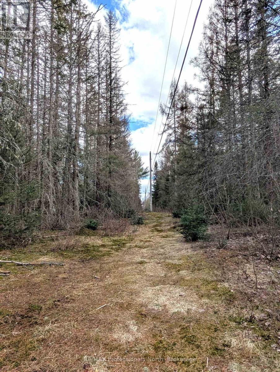 3785a Eagle Lake Road, Parry Sound Remote Area, Ontario  P0A 1X0 - Photo 33 - X13136686