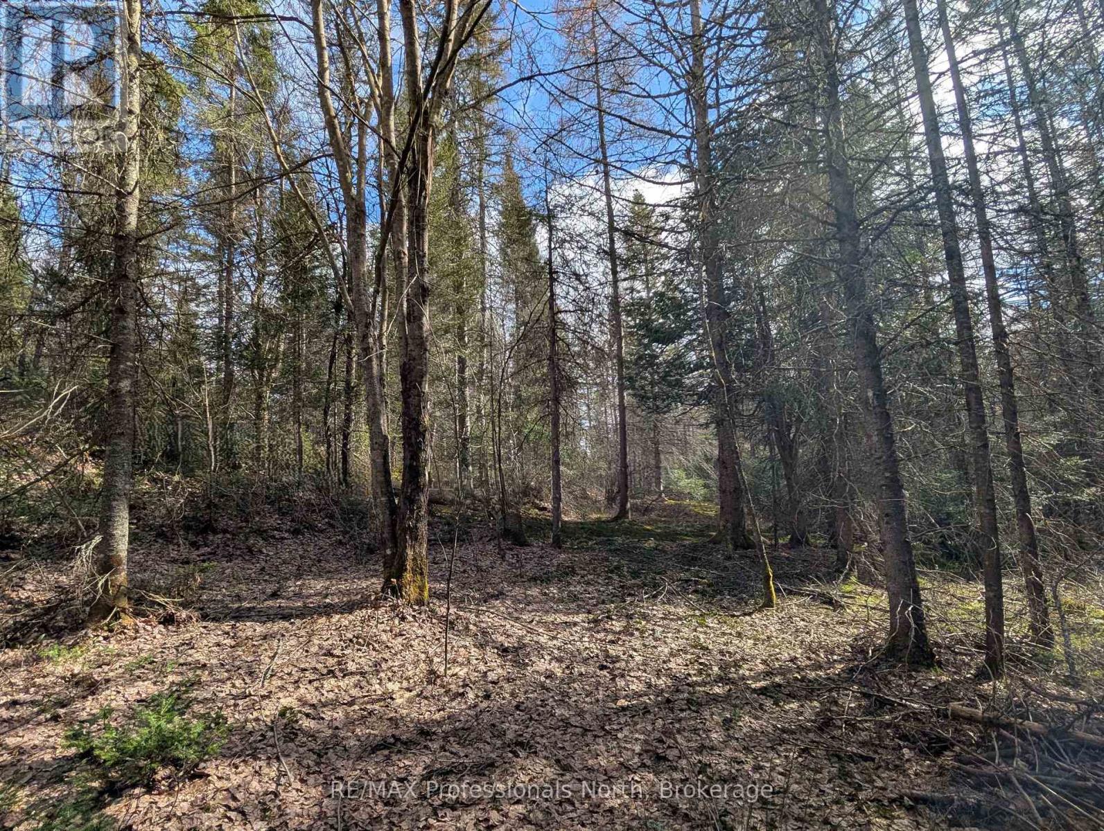 3785a Eagle Lake Road, Parry Sound Remote Area, Ontario  P0A 1X0 - Photo 35 - X13136686