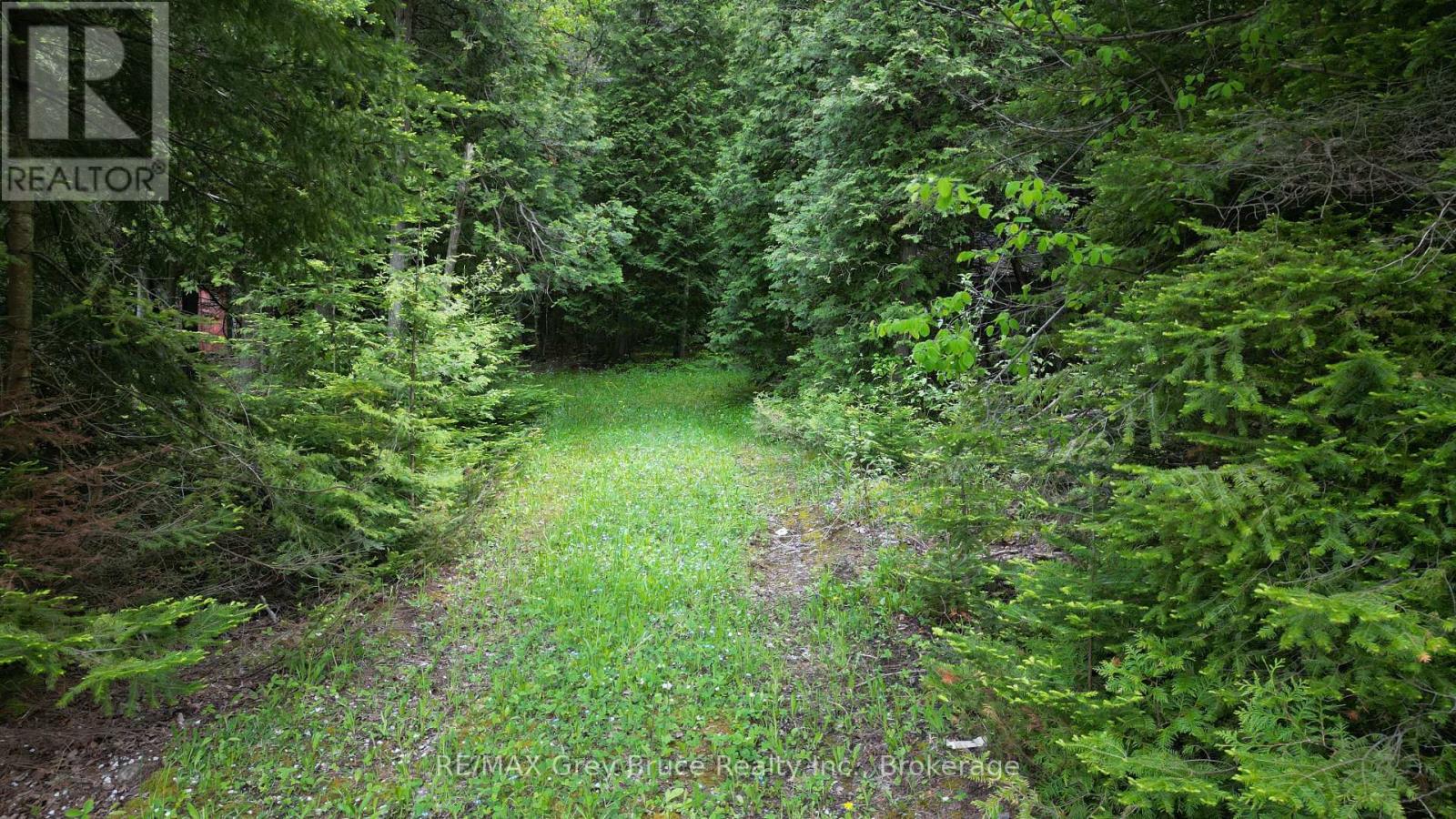 130 South Shore Road, Northern Bruce Peninsula, Ontario  N0H 1W0 - Photo 40 - X13137246