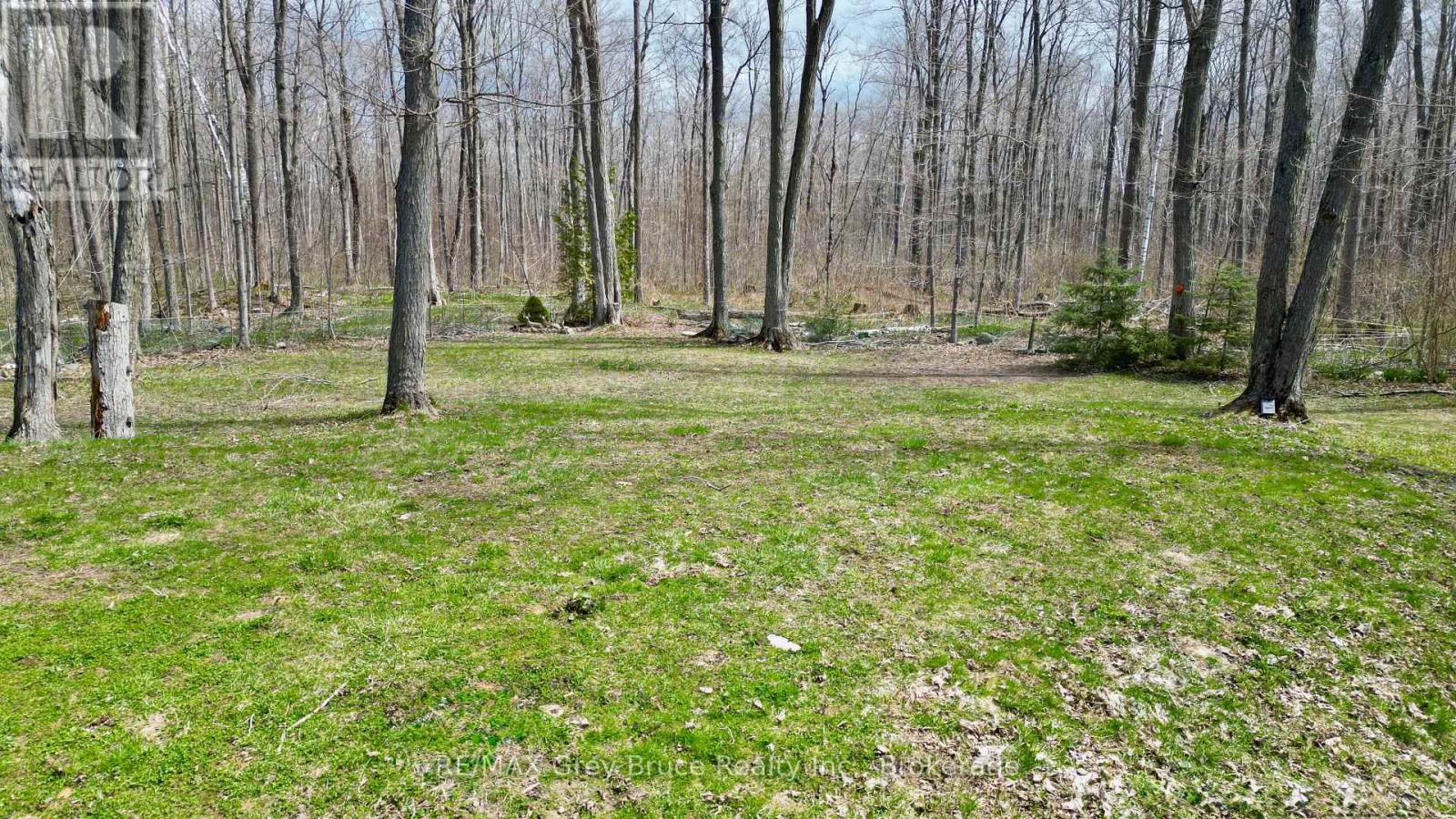 313 Tammy's Cove Road, Northern Bruce Peninsula, Ontario  N0H 1W0 - Photo 41 - X13137886