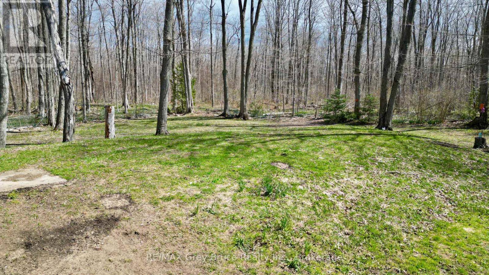313 Tammy's Cove Road, Northern Bruce Peninsula, Ontario  N0H 1W0 - Photo 45 - X13137886