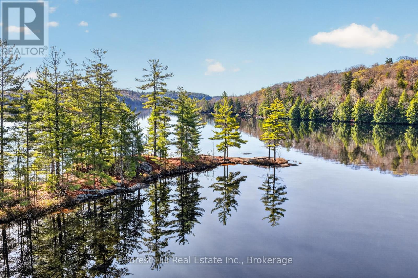 10835 Raven Lake West Shore Township, Algonquin Highlands, Ontario  P0A 1E0 - Photo 10 - X13137984