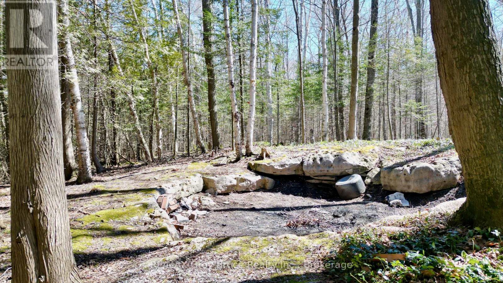 120 Tammy's Cove Road, Northern Bruce Peninsula, Ontario  N0H 1W0 - Photo 5 - X13137994