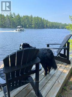 104 Kawigamog Lake, Parry Sound Remote Area, Ontario  P0H 1S0 - Photo 28 - X13138056