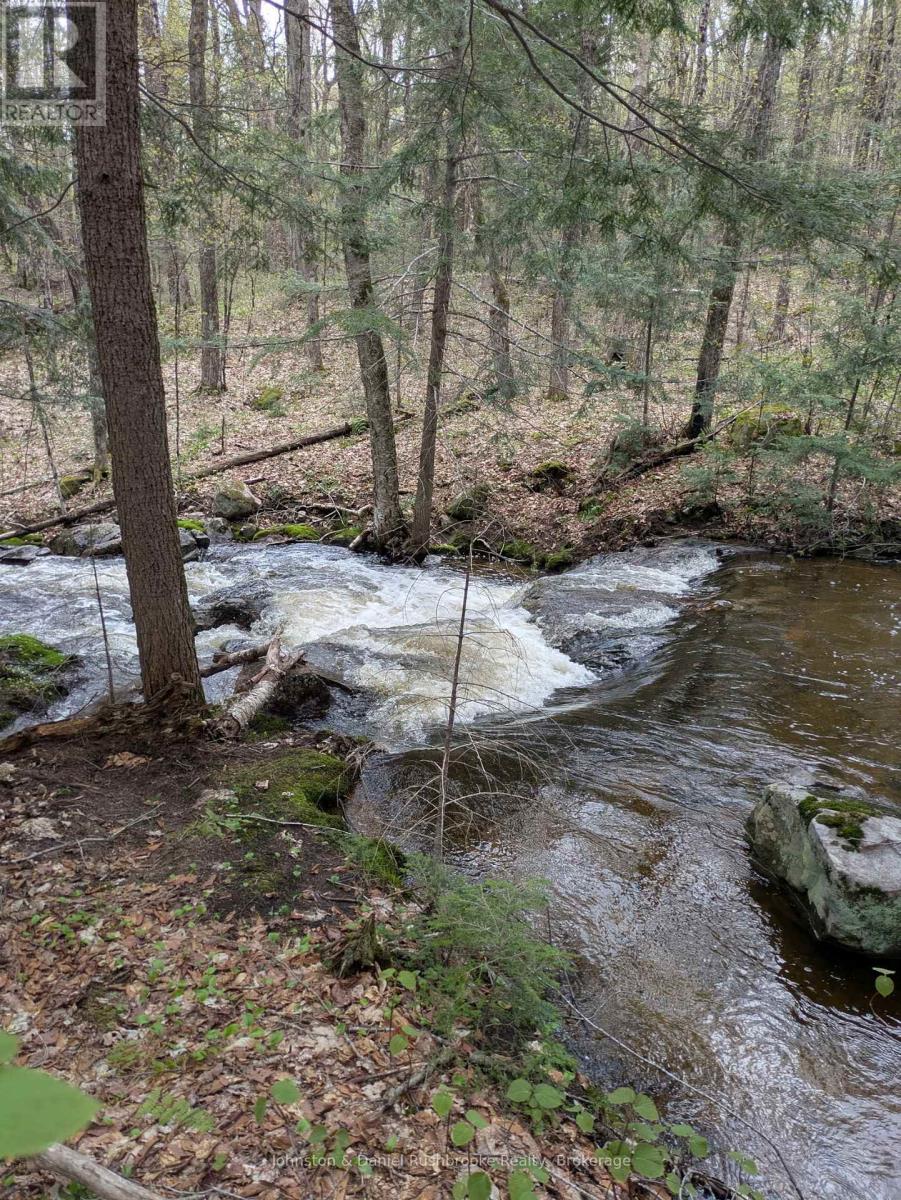 2519 South Horn Lake Rd R.r.#3 Road, Magnetawan, Ontario  P0A 1C0 - Photo 32 - X13138908