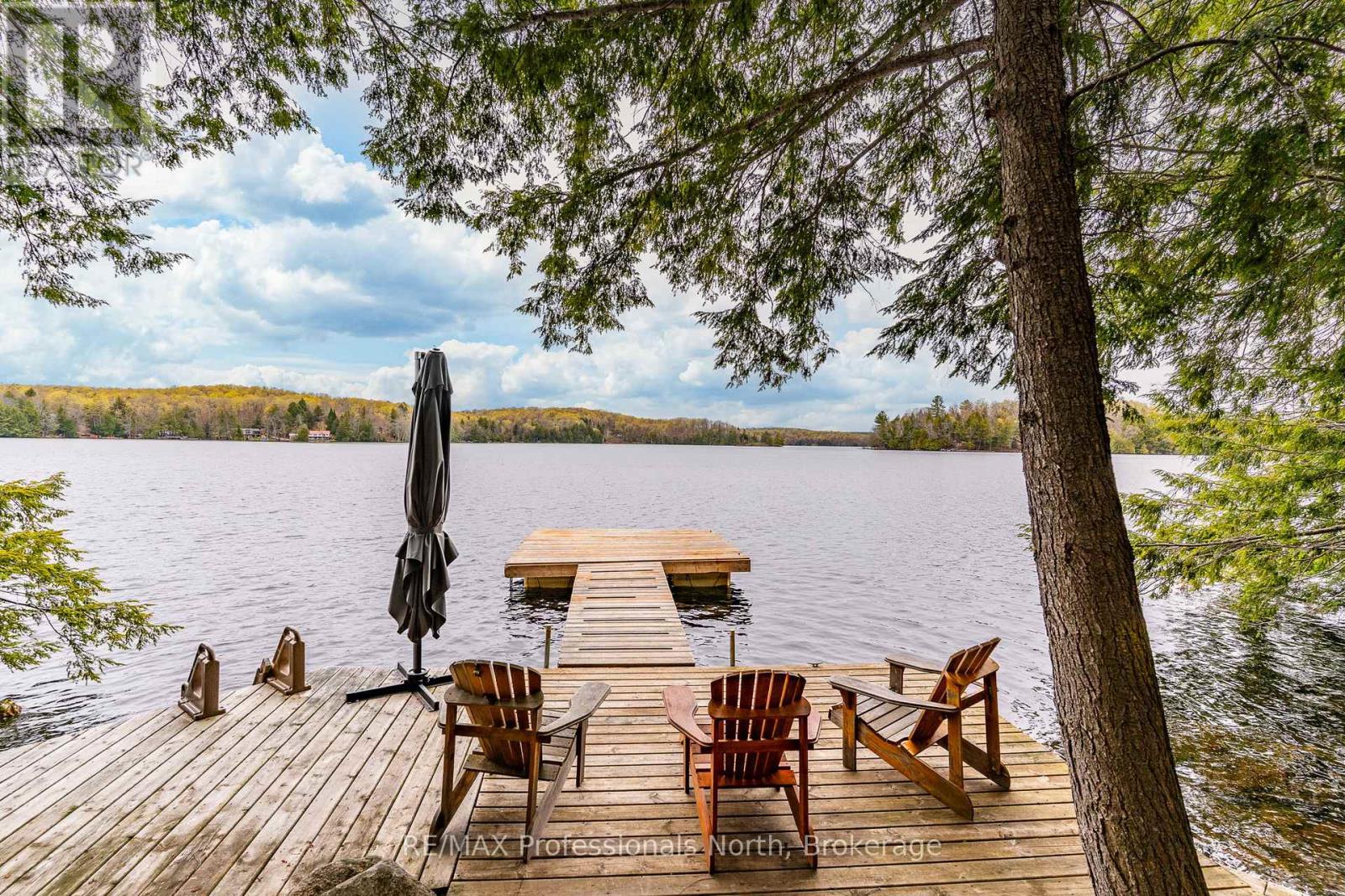 1201 Trellis Trail, Minden Hills, Ontario  K0M 2K0 - Photo 4 - X13141832