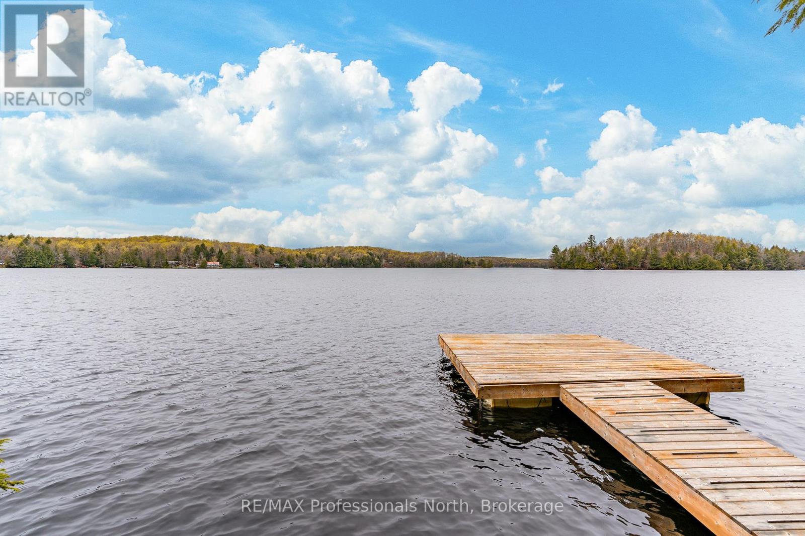 1201 Trellis Trail, Minden Hills, Ontario  K0M 2K0 - Photo 5 - X13141832