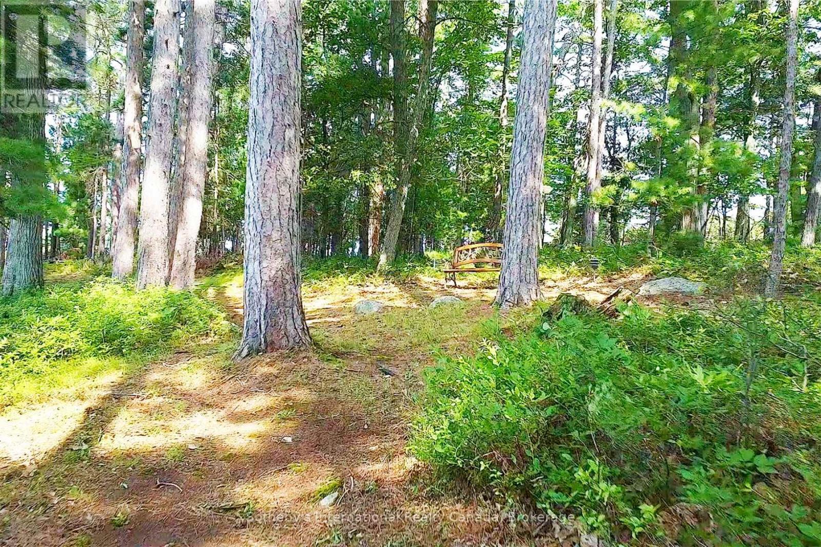 1 Brill's Island, Nipissing, Ontario  P0H 1H0 - Photo 37 - X13142416