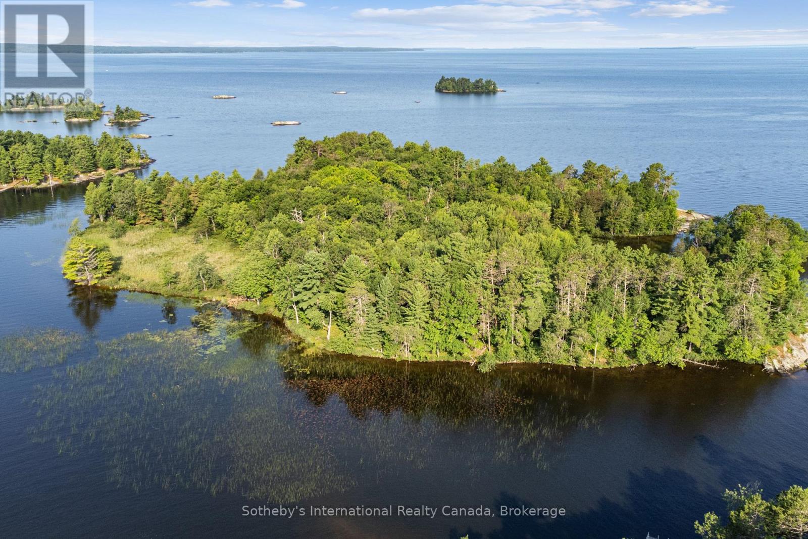 1 Brill's Island, Nipissing, Ontario  P0H 1H0 - Photo 46 - X13142416