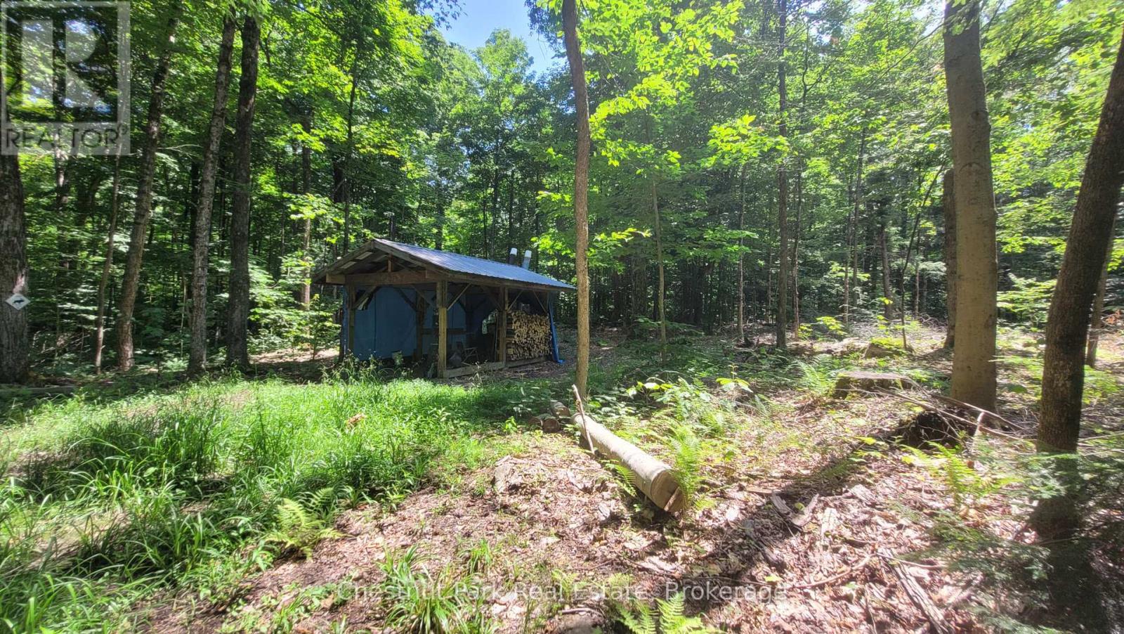 1060 Baker Side Road, Bracebridge, Ontario  P1L 1W9 - Photo 6 - X13144338
