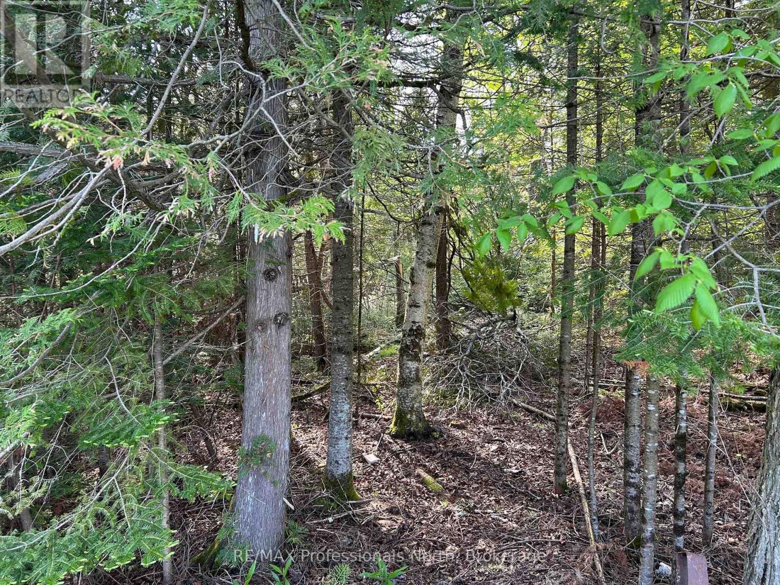 810 4th Line, Douro-Dummer, Ontario  K0L 3E0 - Photo 10 - X13147686