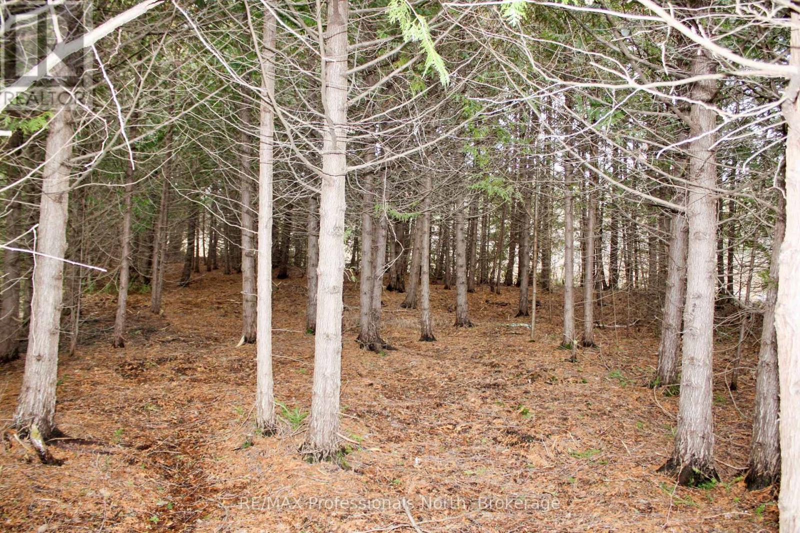810 4th Line, Douro-Dummer, Ontario  K0L 3E0 - Photo 21 - X13147686