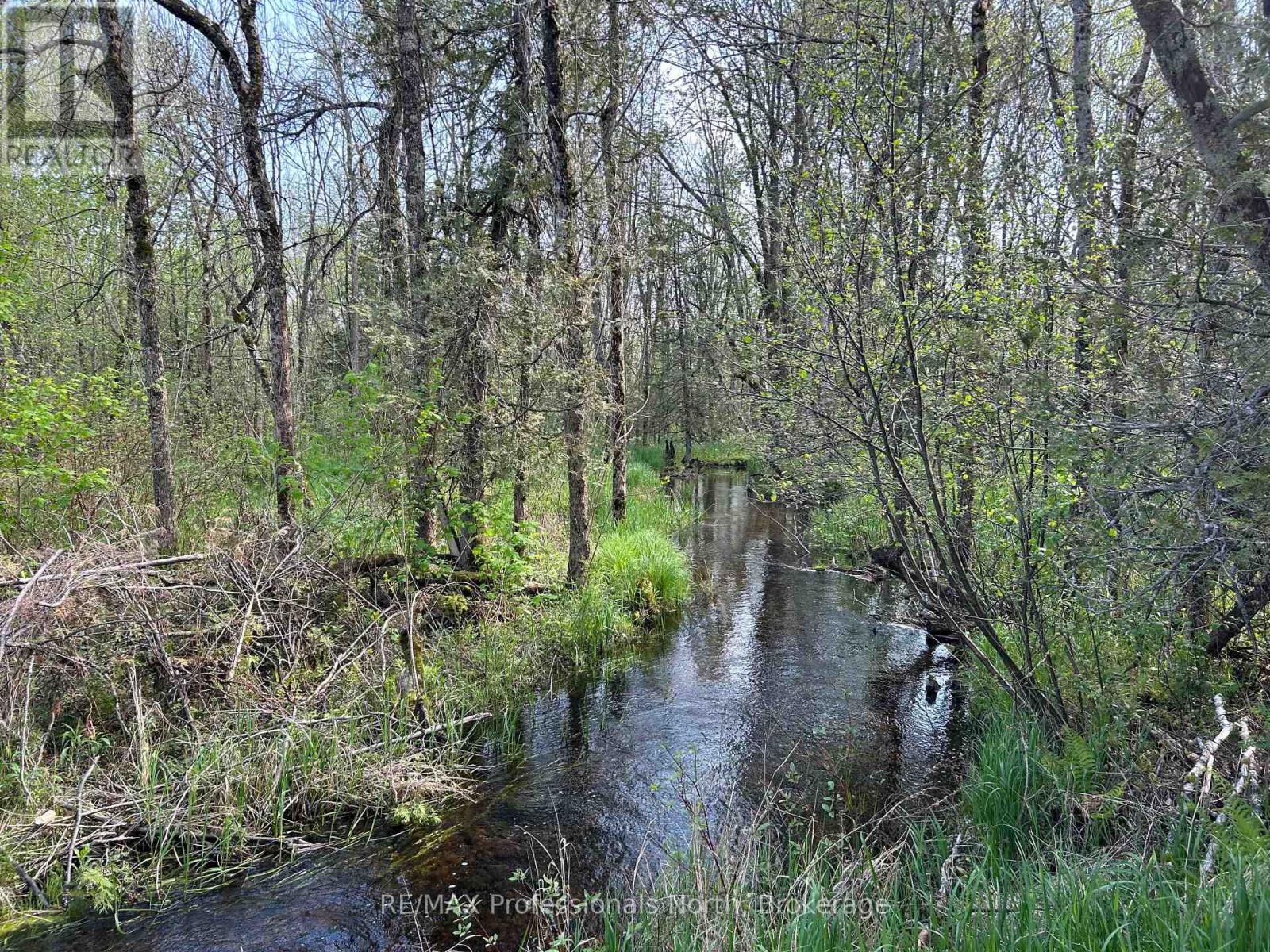 810 4th Line, Douro-Dummer, Ontario  K0L 3E0 - Photo 7 - X13147686