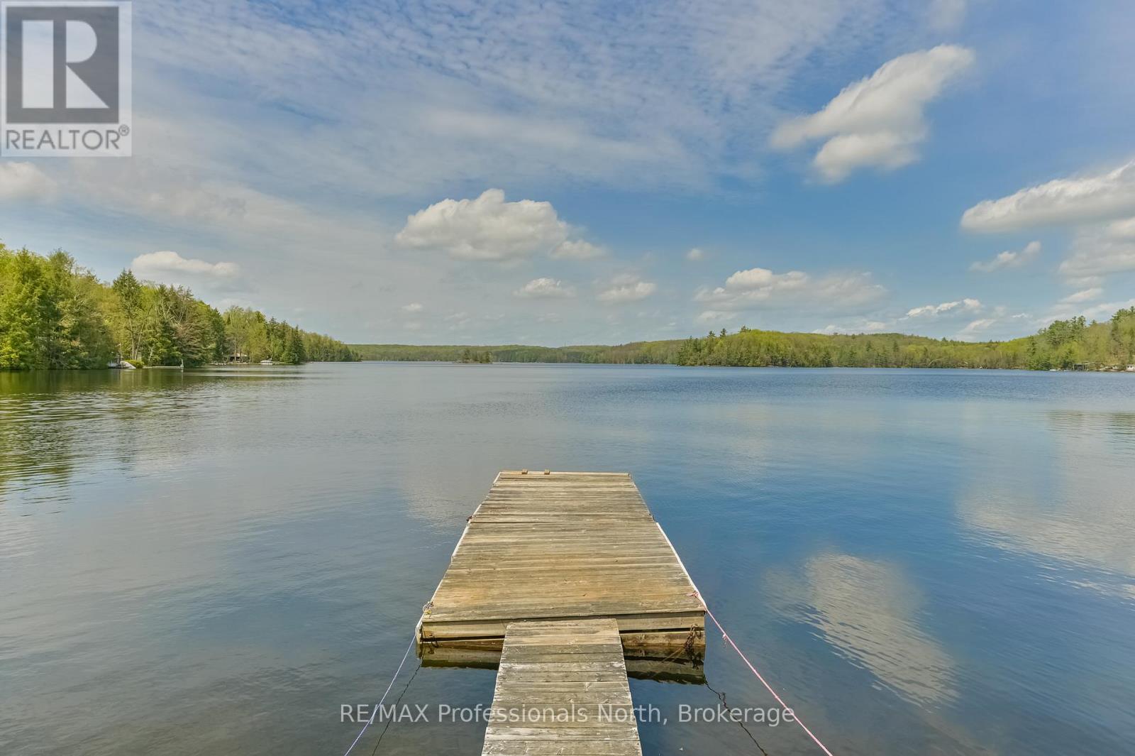 1031 Lodge Lane, Minden Hills, Ontario  K0M 2K0 - Photo 2 - X13148378
