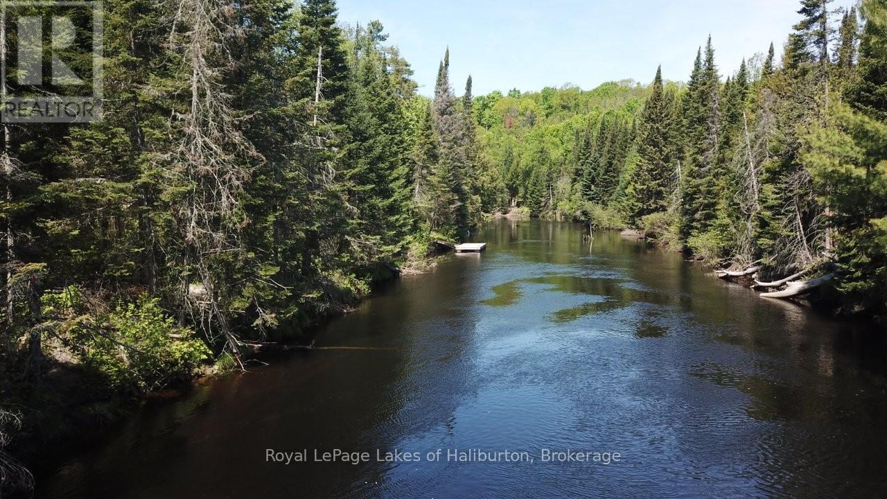 1880 Boldts Lane, Minden Hills, Ontario  K0M 2A1 - Photo 12 - X13150746