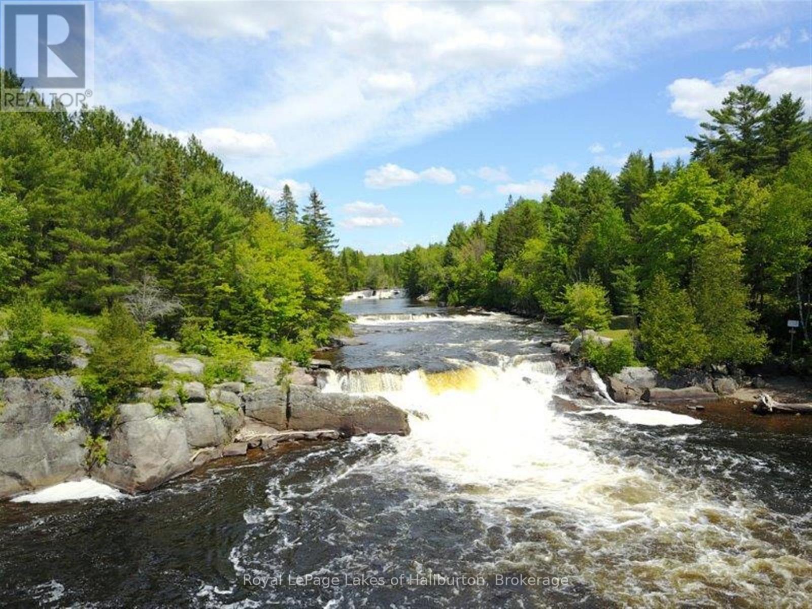 1880 Boldts Lane, Minden Hills, Ontario  K0M 2A1 - Photo 17 - X13150746