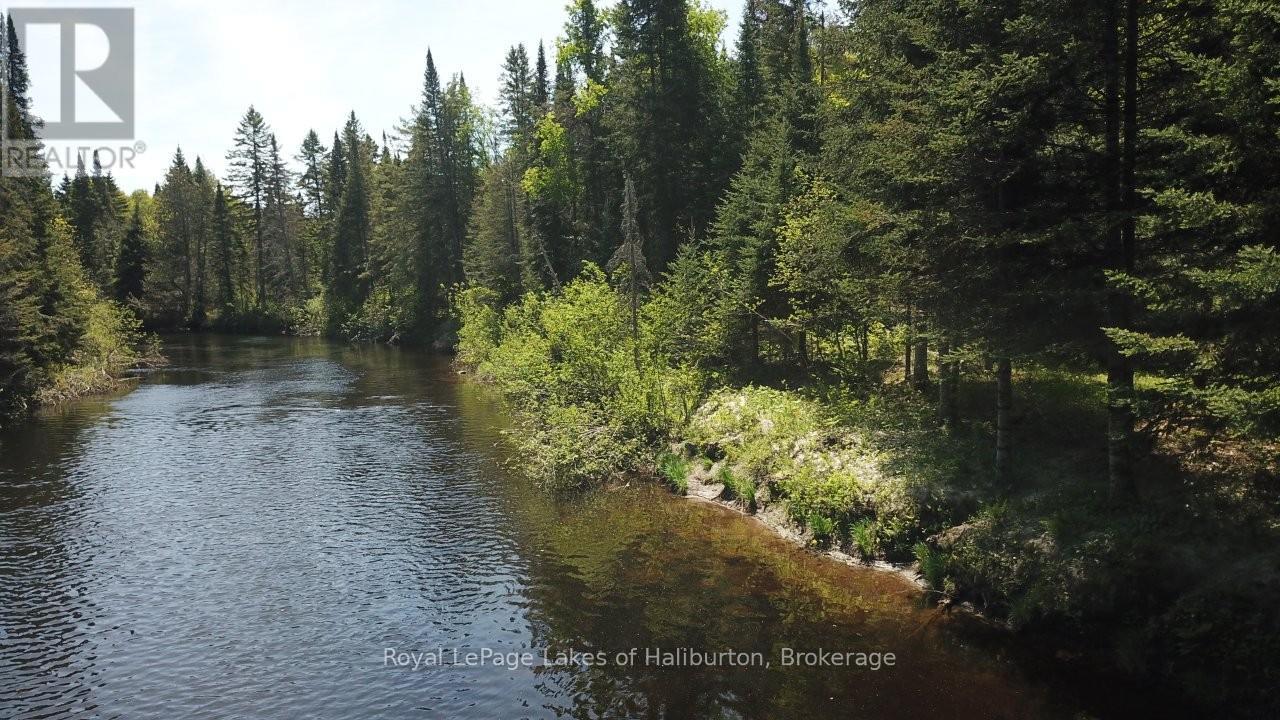 1880 Boldts Lane, Minden Hills, Ontario  K0M 2A1 - Photo 2 - X13150746