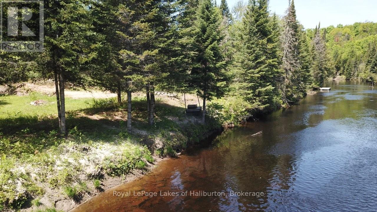 1880 Boldts Lane, Minden Hills, Ontario  K0M 2A1 - Photo 41 - X13150746