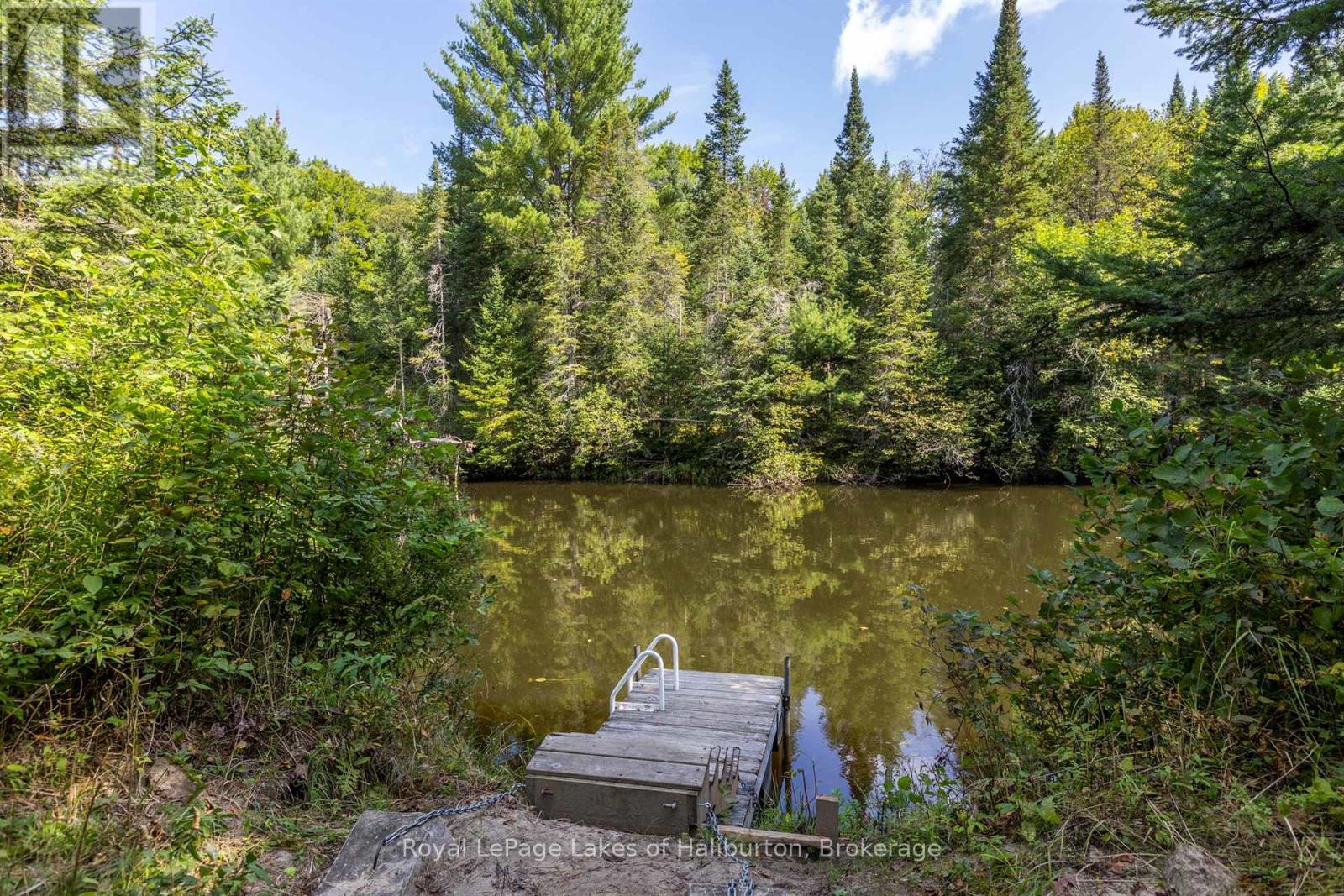 1880 Boldts Lane, Minden Hills, Ontario  K0M 2A1 - Photo 5 - X13150746