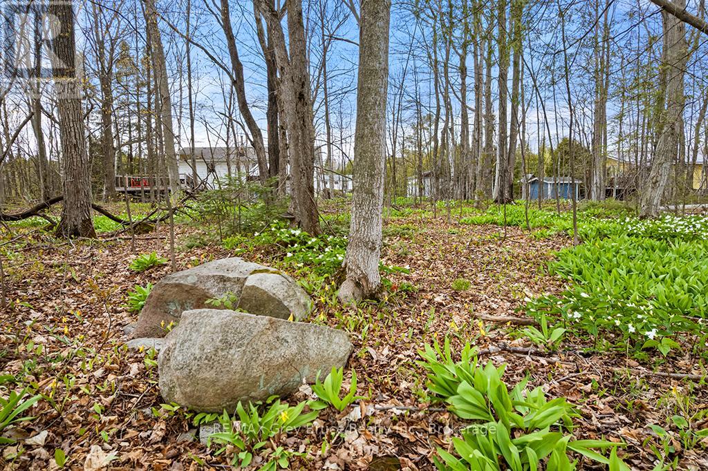 46 Maple Golf Crescent, Northern Bruce Peninsula, Ontario  N0H 2R0 - Photo 14 - X13154046
