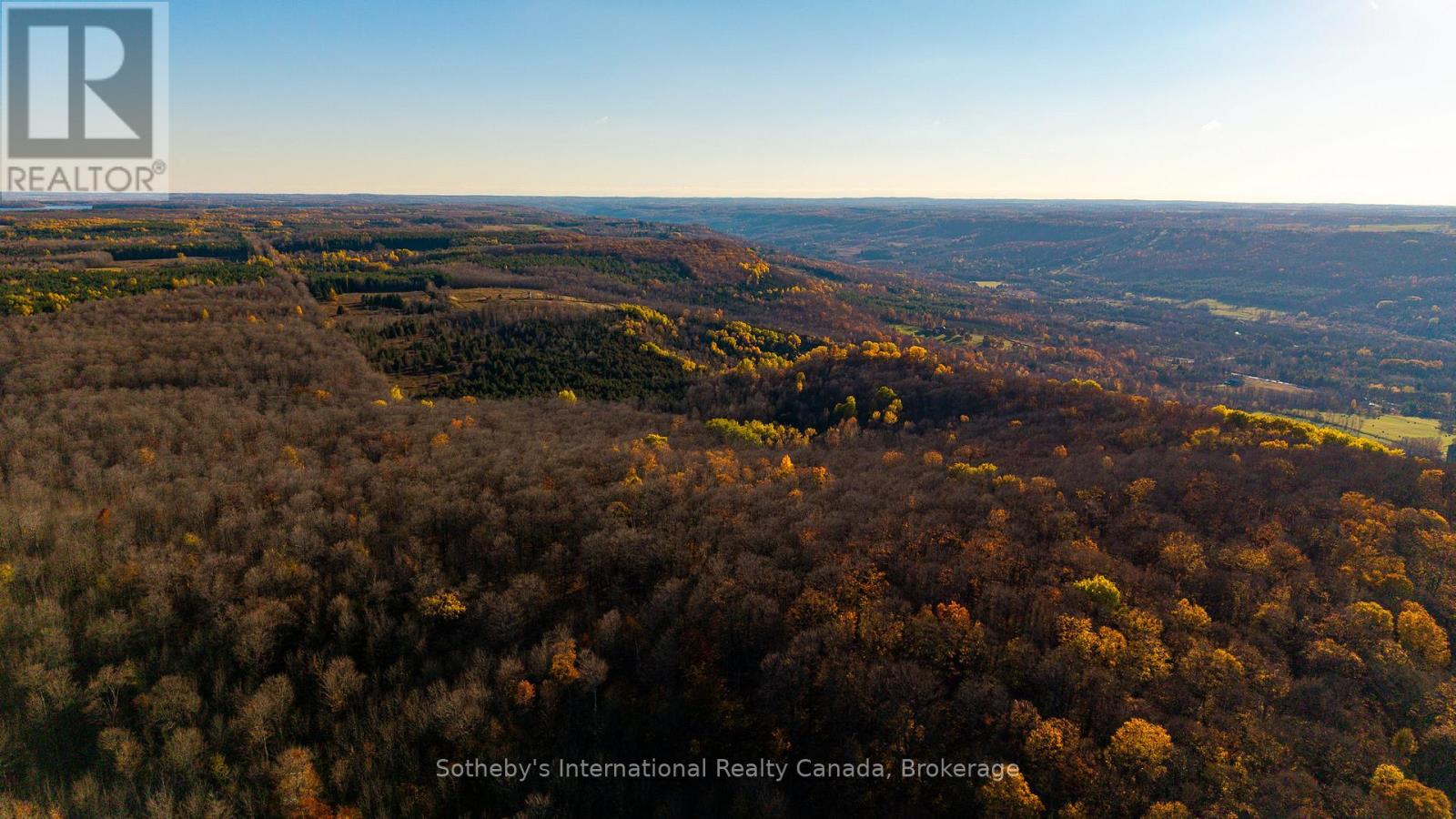 315298 3rd Line A, Grey Highlands, Ontario  N0C 1E0 - Photo 34 - X13154166