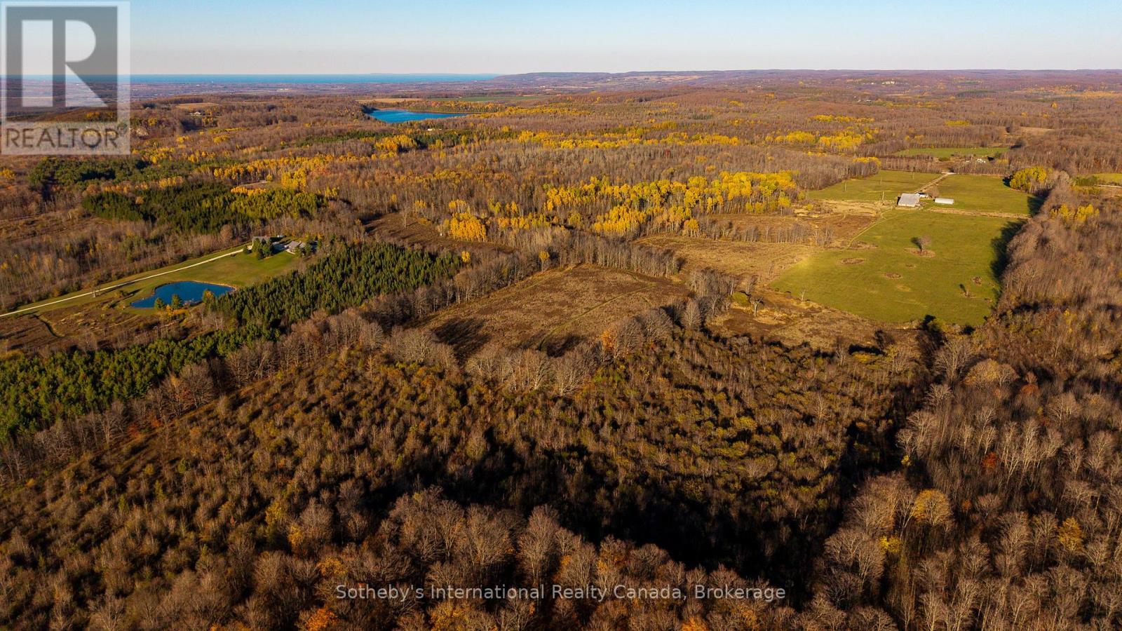 315298 3rd Line A, Grey Highlands, Ontario  N0C 1E0 - Photo 4 - X13154166