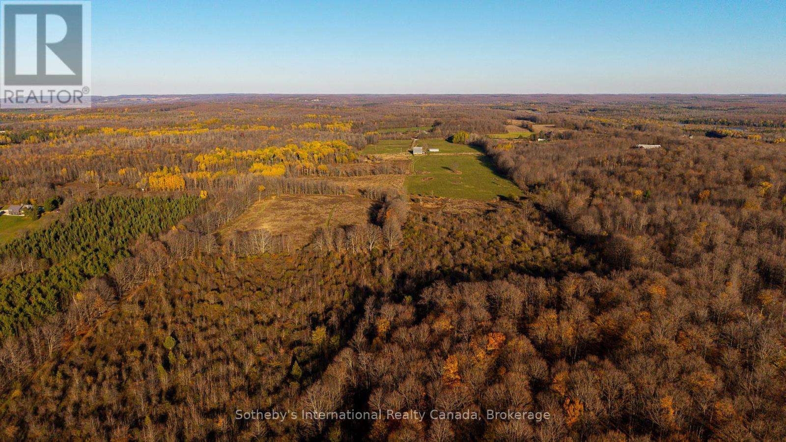 315298 3rd Line A, Grey Highlands, Ontario  N0C 1E0 - Photo 5 - X13154166